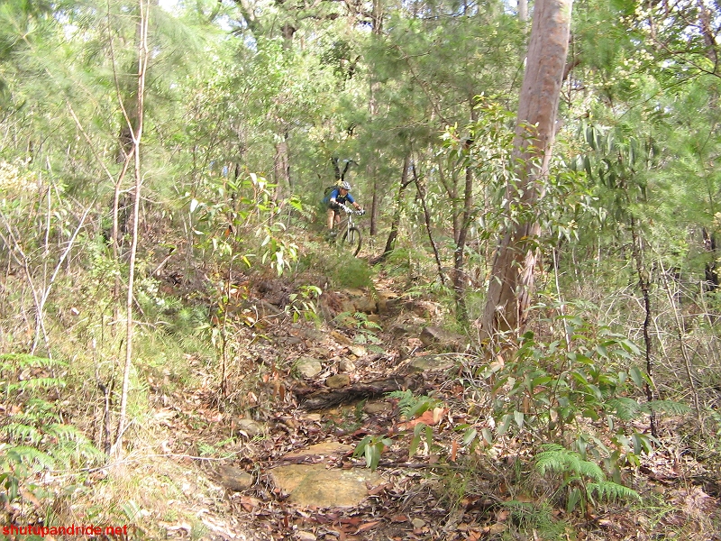 20080420-ONR 110 